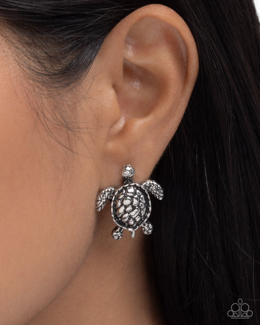 Turtle Taste - Silver