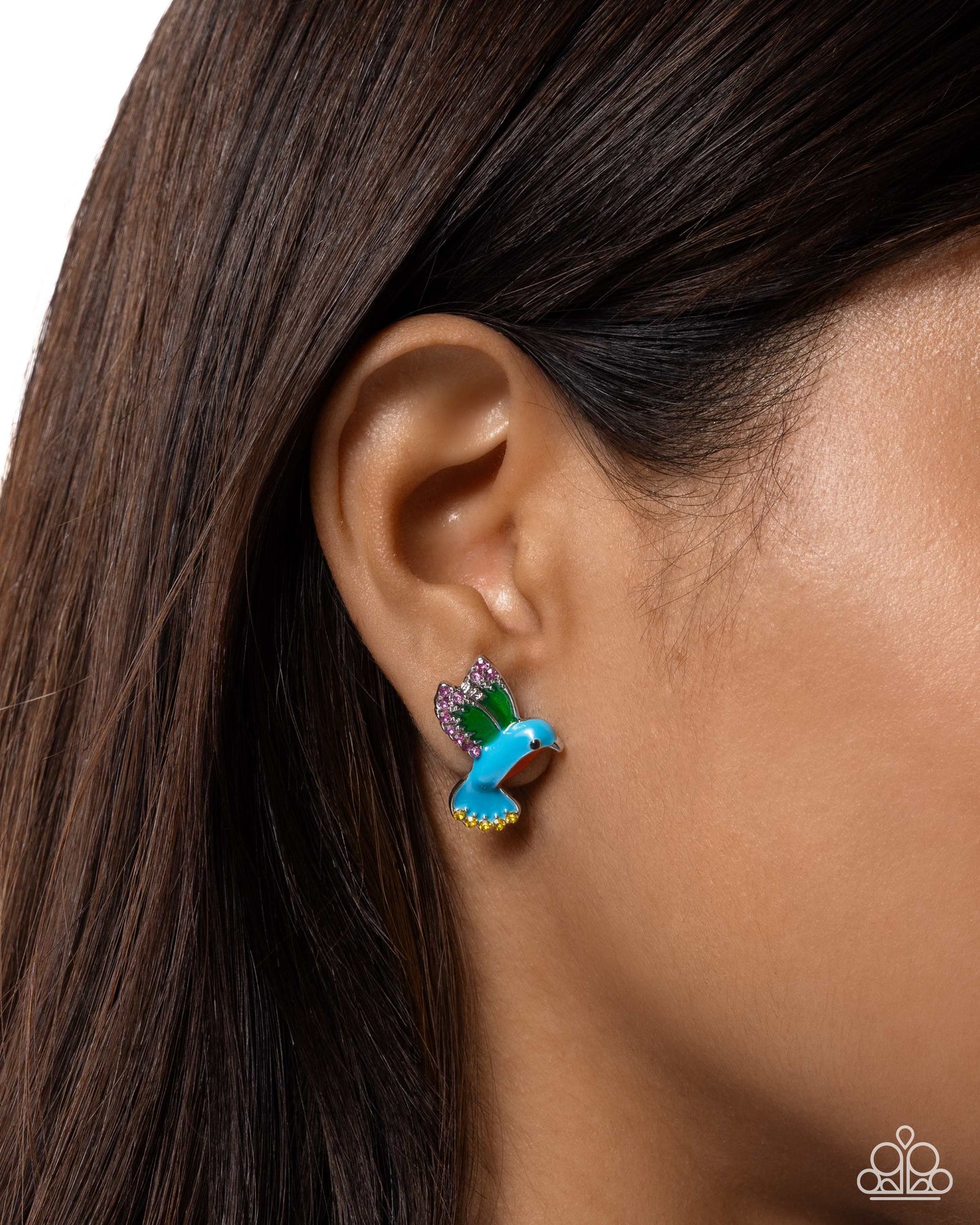 Hummingbird Honor - Multi